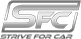 Logo Strive For Car